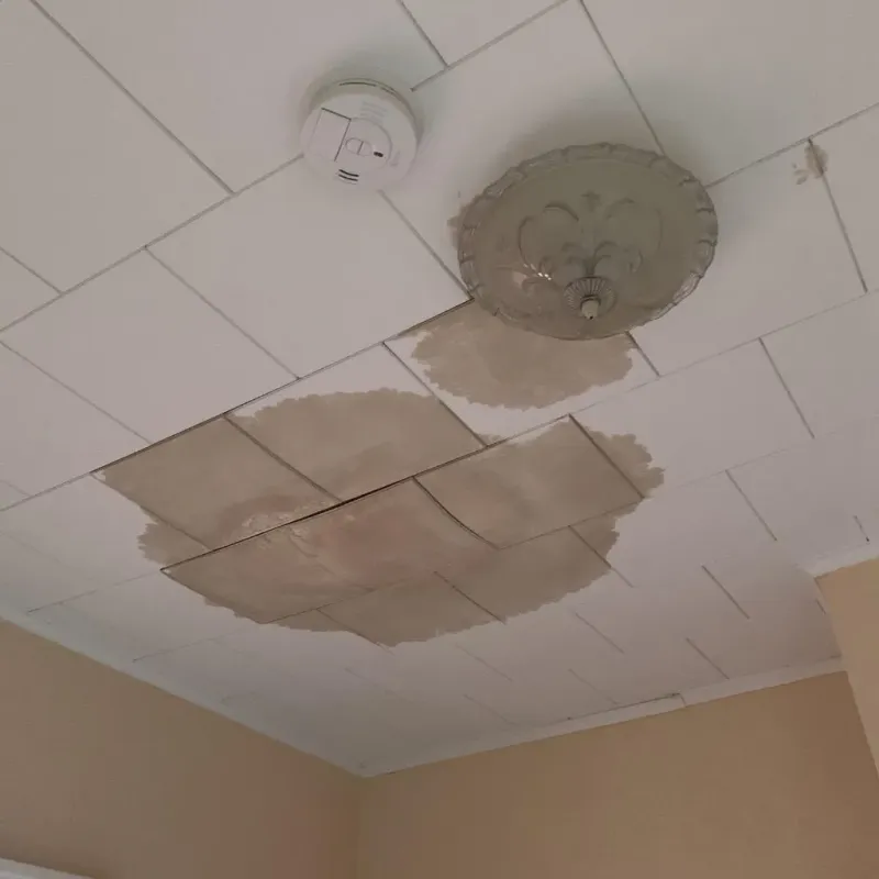 Ceiling Water Damage Repair in Box Elder, SD